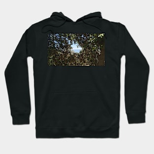 Ocean View Through Trees Hoodie